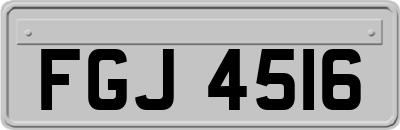 FGJ4516