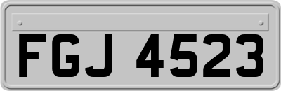 FGJ4523