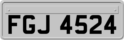 FGJ4524