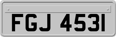 FGJ4531