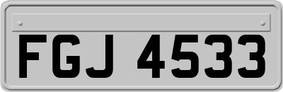 FGJ4533
