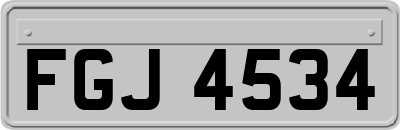 FGJ4534
