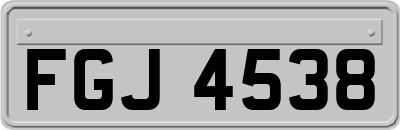 FGJ4538