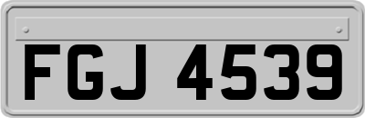 FGJ4539