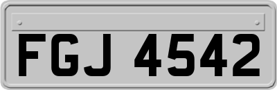 FGJ4542