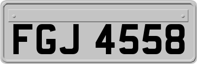 FGJ4558