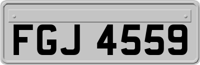 FGJ4559