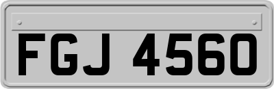 FGJ4560