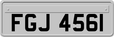 FGJ4561
