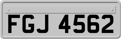 FGJ4562