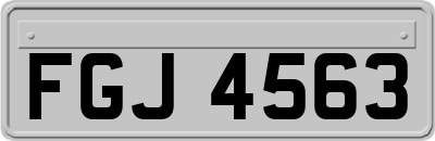 FGJ4563