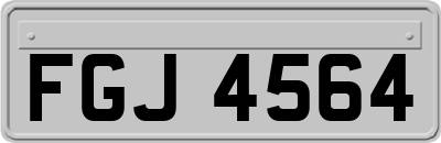 FGJ4564