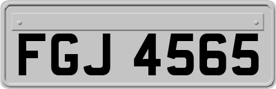 FGJ4565