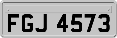 FGJ4573