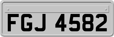 FGJ4582