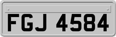 FGJ4584