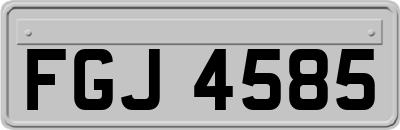FGJ4585