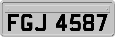 FGJ4587