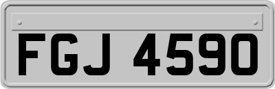 FGJ4590
