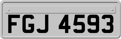 FGJ4593