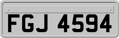 FGJ4594