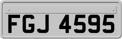 FGJ4595