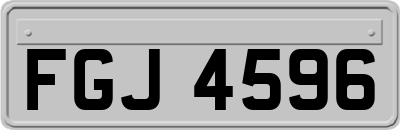 FGJ4596