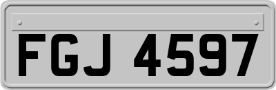 FGJ4597