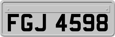 FGJ4598