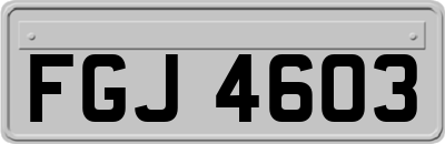 FGJ4603
