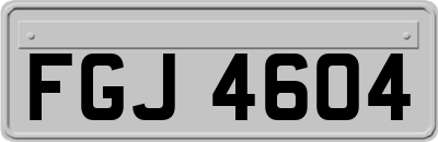 FGJ4604