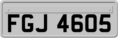FGJ4605