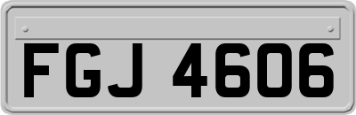 FGJ4606