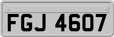 FGJ4607