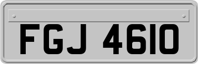 FGJ4610