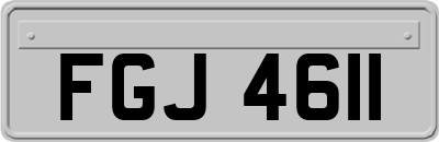 FGJ4611