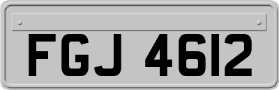 FGJ4612
