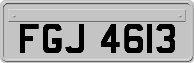 FGJ4613