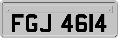 FGJ4614