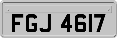 FGJ4617