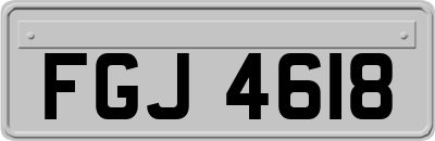 FGJ4618