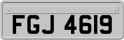FGJ4619