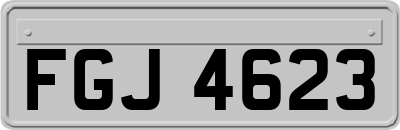 FGJ4623