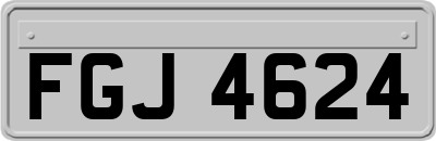 FGJ4624