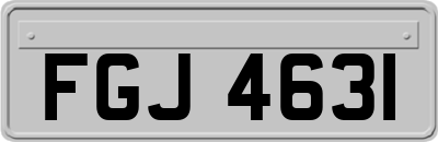 FGJ4631