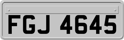 FGJ4645