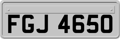 FGJ4650
