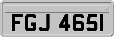 FGJ4651