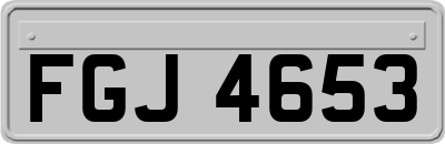 FGJ4653