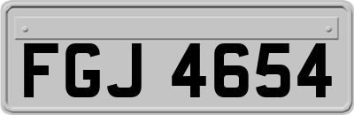 FGJ4654